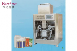 Automatic Brick Type Vacuum Packaging Machine