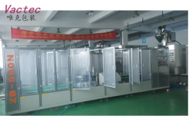 Automatic Powder Brick bag Vacuum Packing Machine