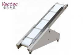 Belt Conveyor