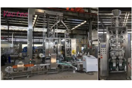 VFS2000ZB vertical vacuum packaging machine