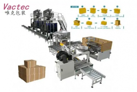 Automatic Cartoning Line