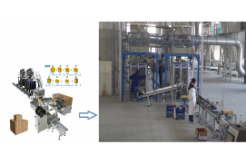 ZX450 Automatic Carton Filling Line| China